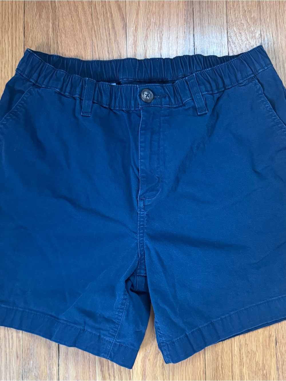 Chubbies Casual Shorts